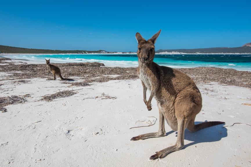 深邃的探索之旅摄影师的最佳助手-PROTREKPRT-B50