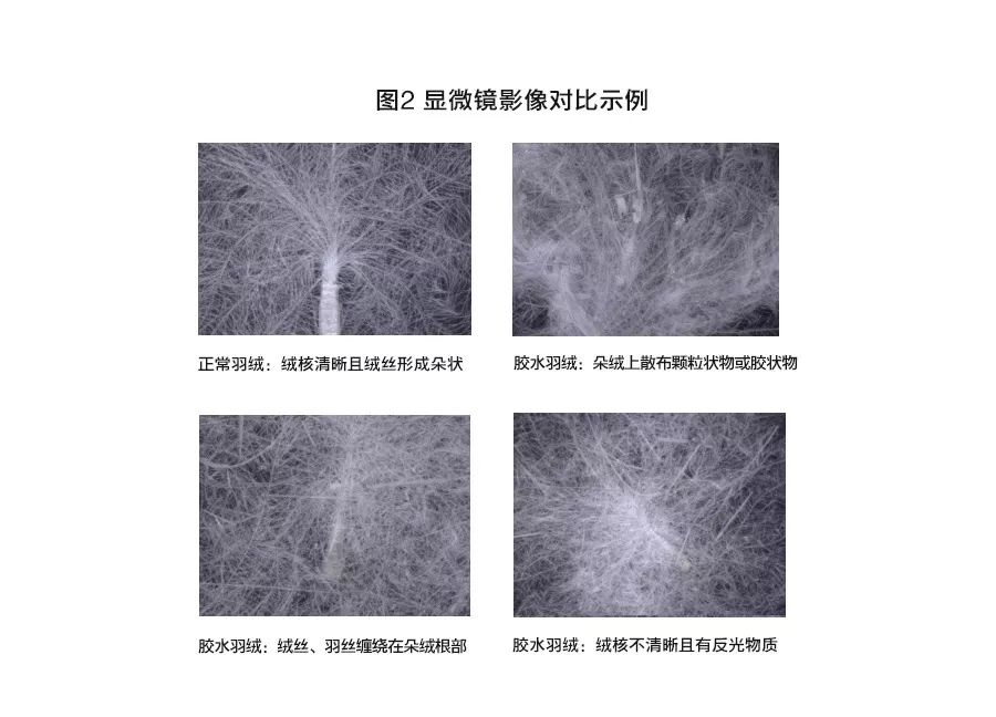 青岛人常买的这些品牌衣服出事儿了!雪中飞、梦特娇……