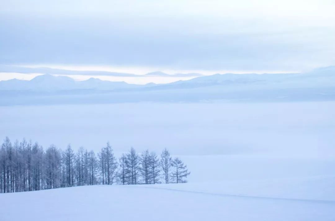 北海道是怎么成为日本的,北海道到底有多强大