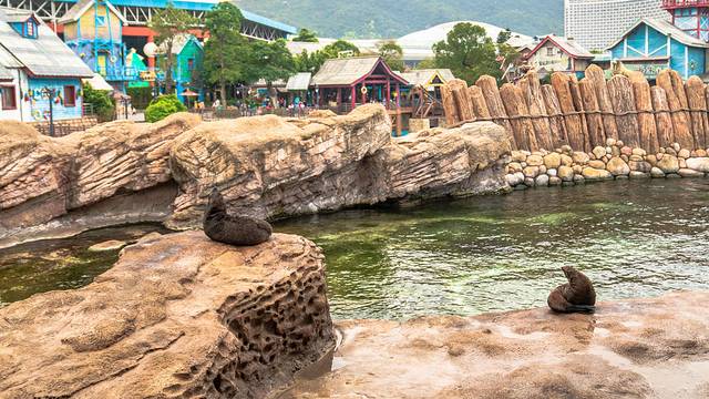 海底探秘视频,海底探秘海洋馆