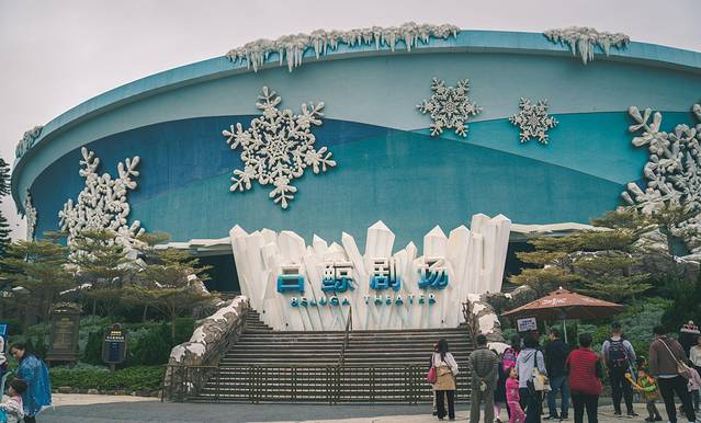 海底探秘视频,海底探秘海洋馆