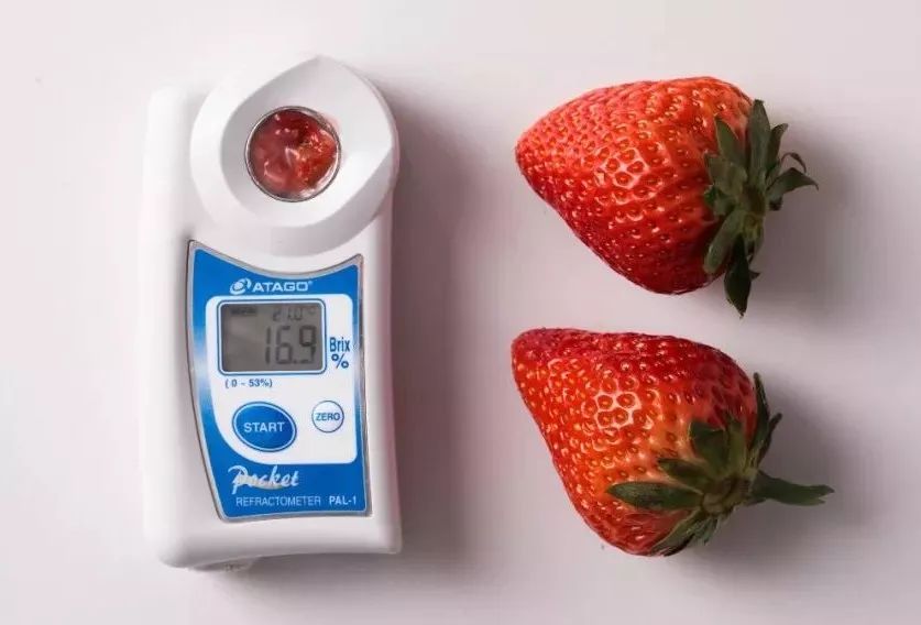 涓逛笢绾㈤鑽夎帗浜у湴鍦ㄥ摢,涓逛笢绾㈤鑽夎帗澶ф灉浠锋牸琛屾儏