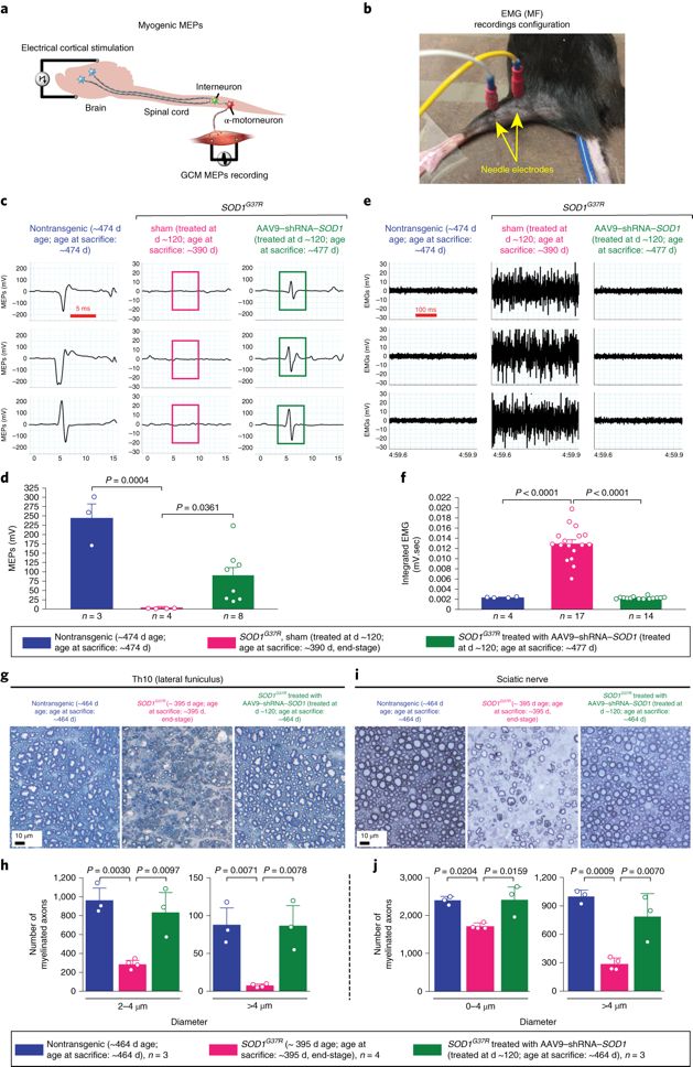 nature子刊癌症新突破,nature子刊人文社科