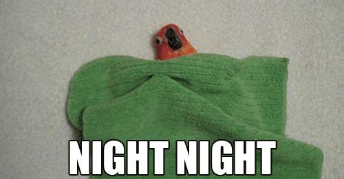 超黑科技“火山”被，薅光澳大利亚的羊毛，冷冬也能睡出“岩浆”热