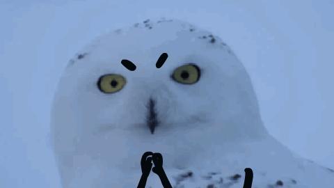 2019种草清单,2019年种草口红