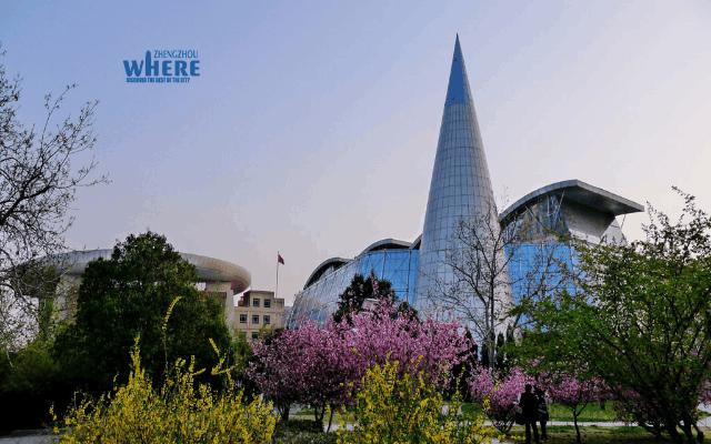 【双语】FantasticNewYearsEveinZhengzhou在郑州跨年,得劲儿