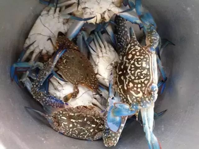 七彩贝丘湾海滩,七彩贝丘湾攻略