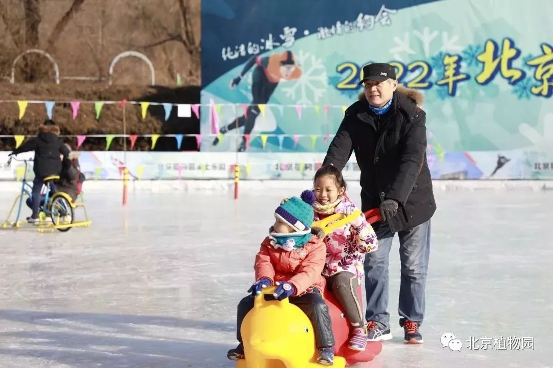最新颐和园冰场,2024年颐和园冰场开了吗