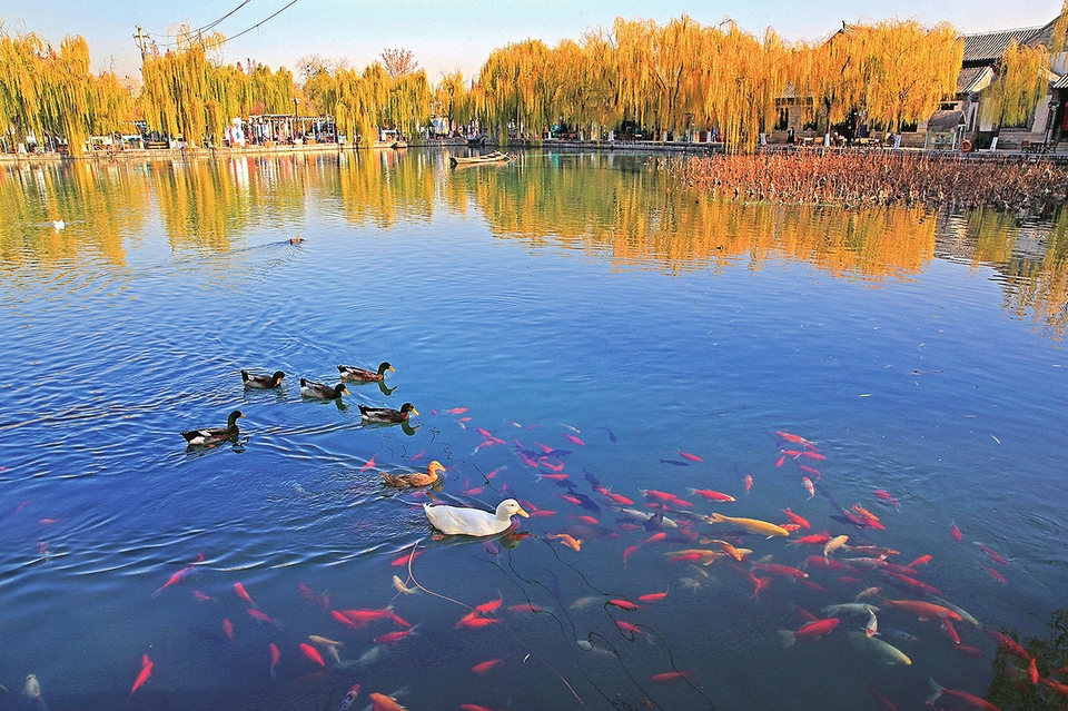 济南的冬天和白马湖之冬,济南的冬天山水美在哪里