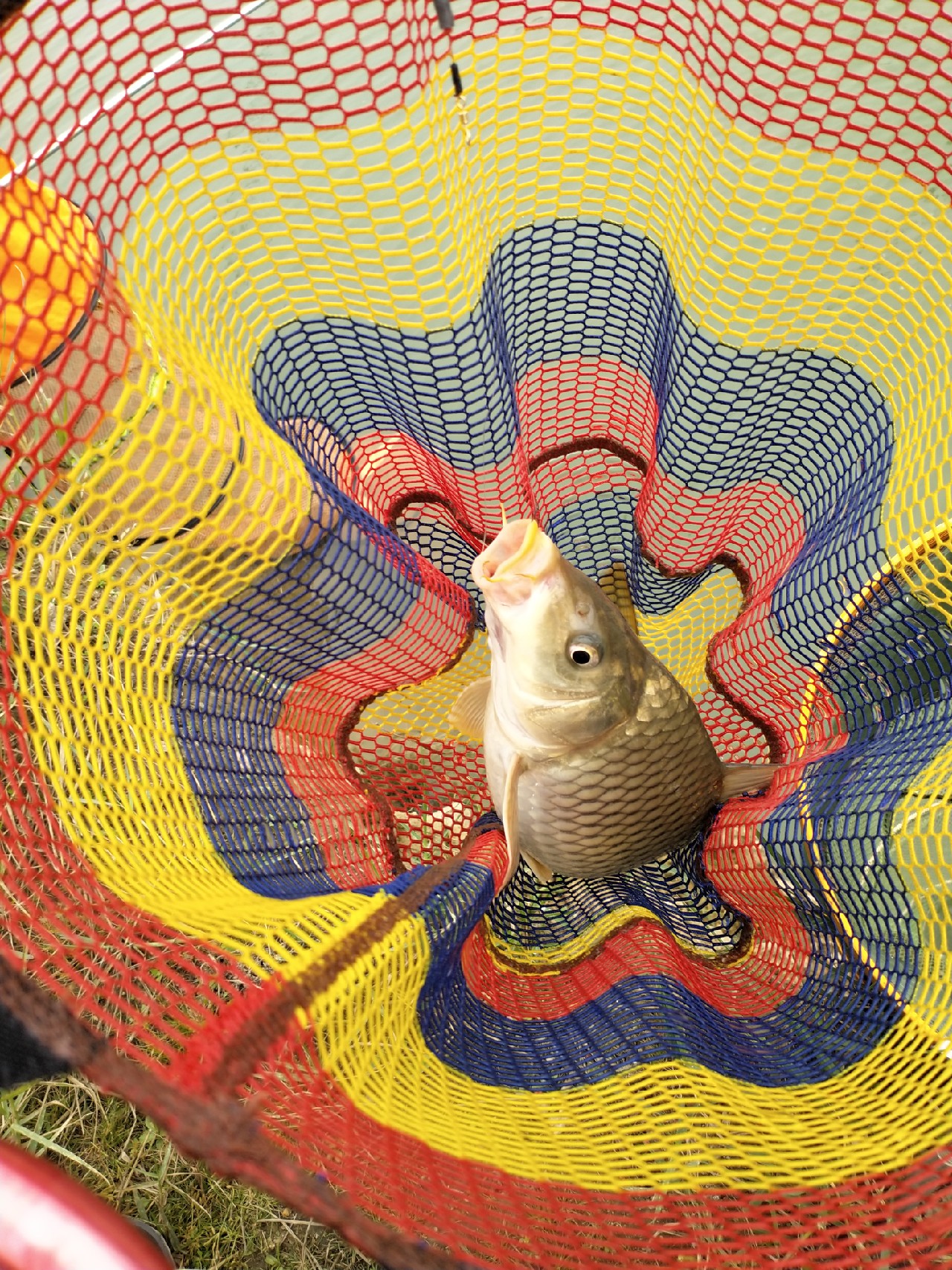 野钓水库位置真的很关键,野钓水库最佳位置图