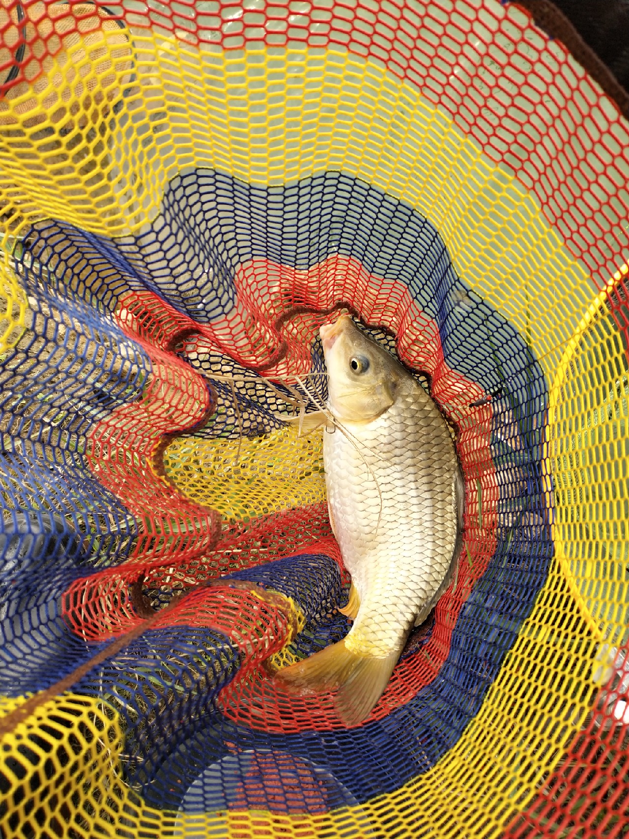 野钓水库位置真的很关键,野钓水库最佳位置图