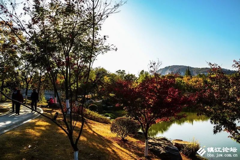 过年去镇江一日游去哪里好,镇江过年去哪儿旅游合适