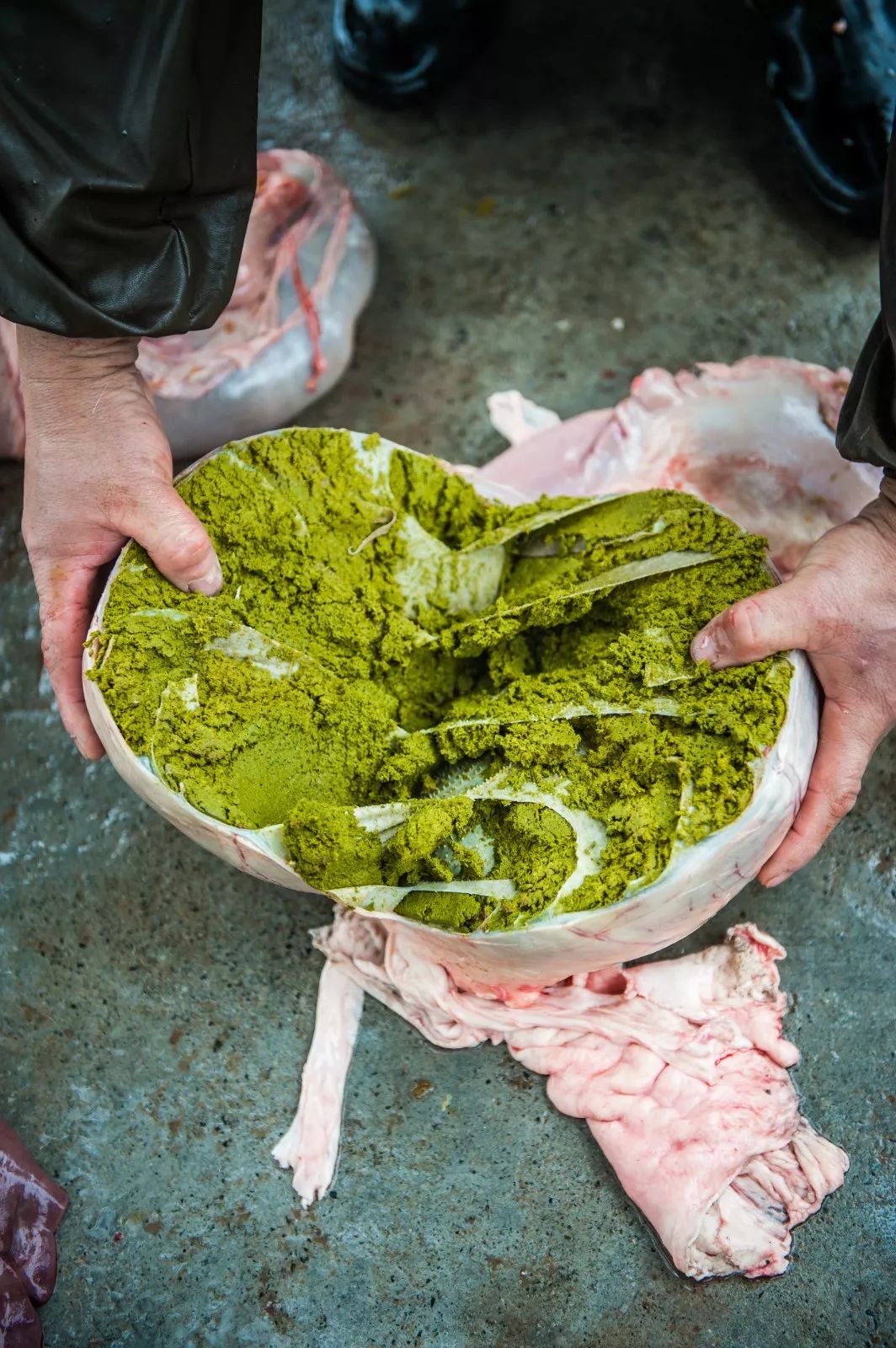 国家地理：中国到底哪里的牛肉最好吃？