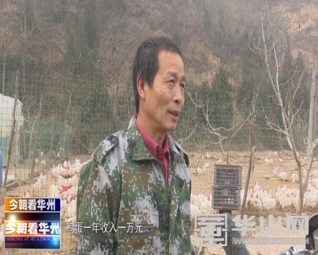 “鸡司令”孙彦强：致富不忘贫困户热心帮扶促脱贫