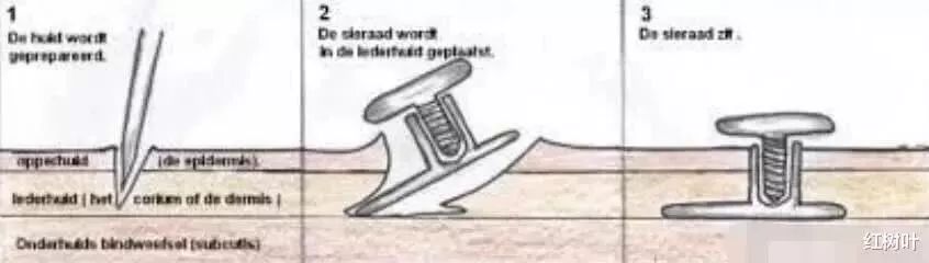 泫雅晒美照戴上鼻钉个性十足,泫雅晒照穿休闲风难掩好身材