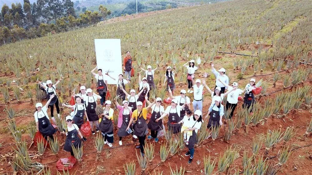 归农，颠覆电商模式促进乡村振兴