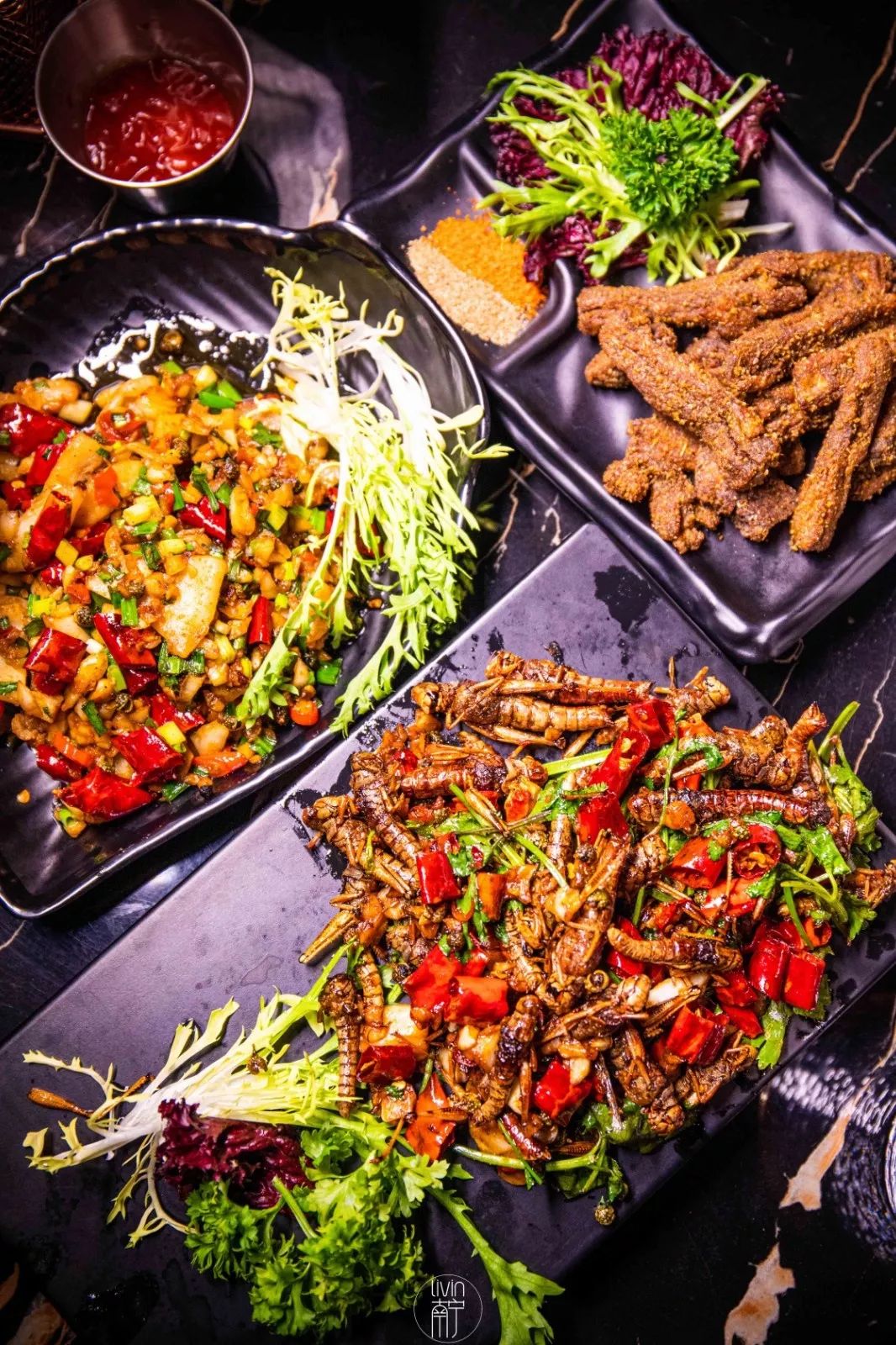 南宁酒吧品牌,南宁曾经最辉煌的酒吧