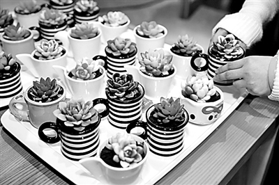 人造肉最新产品,即食益生菌食品