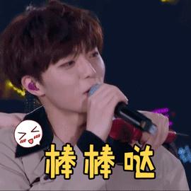 中央储备肉与国家储备肉,储备肉与国家储备肉