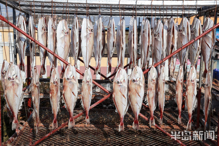 即墨甜晒鱼做法,甜晒鱼怎么做好吃