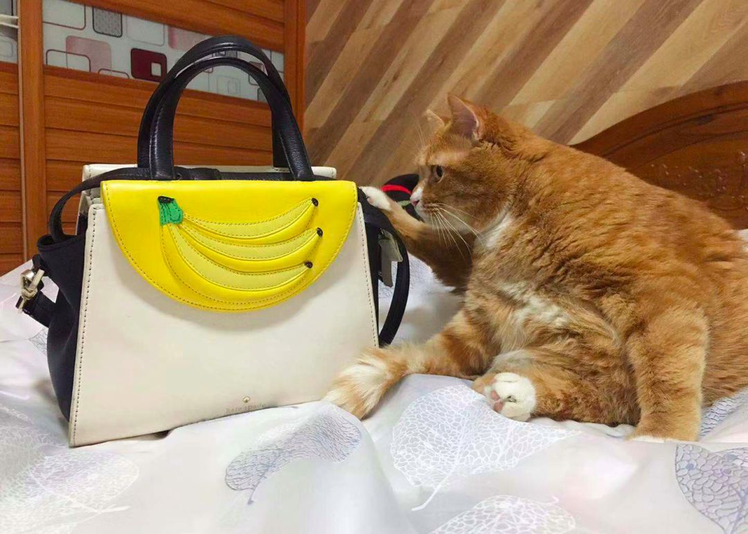 七夕限定特惠组合包小众轻奢,高性价比小众包