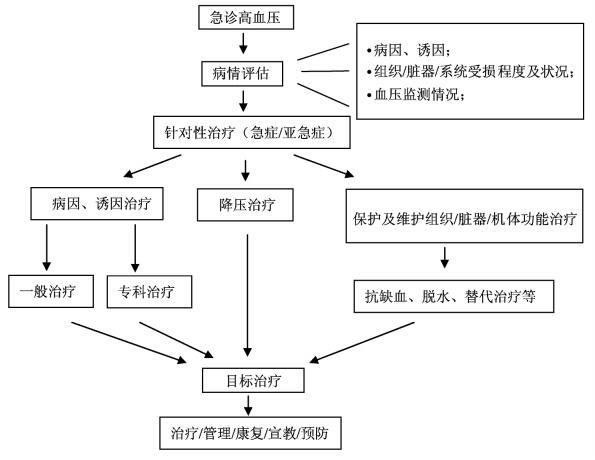 高血压急症的诊治策略,高血压急症的最主要护理诊断