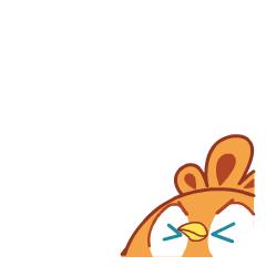 斗图表情包1000张,淄博人均表情包