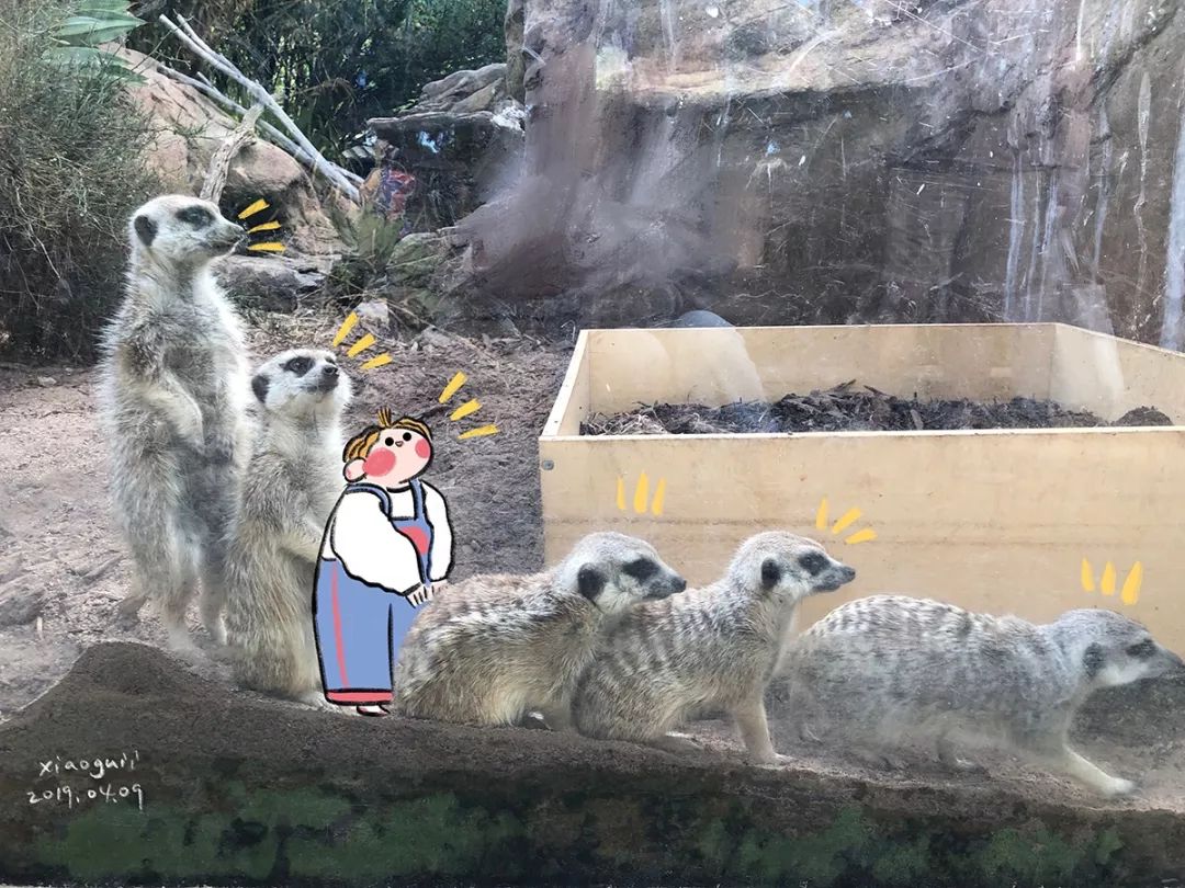 「乐趣日常」板绘PS+GIF制作10节课报名啦！用插画记录你的生活叭