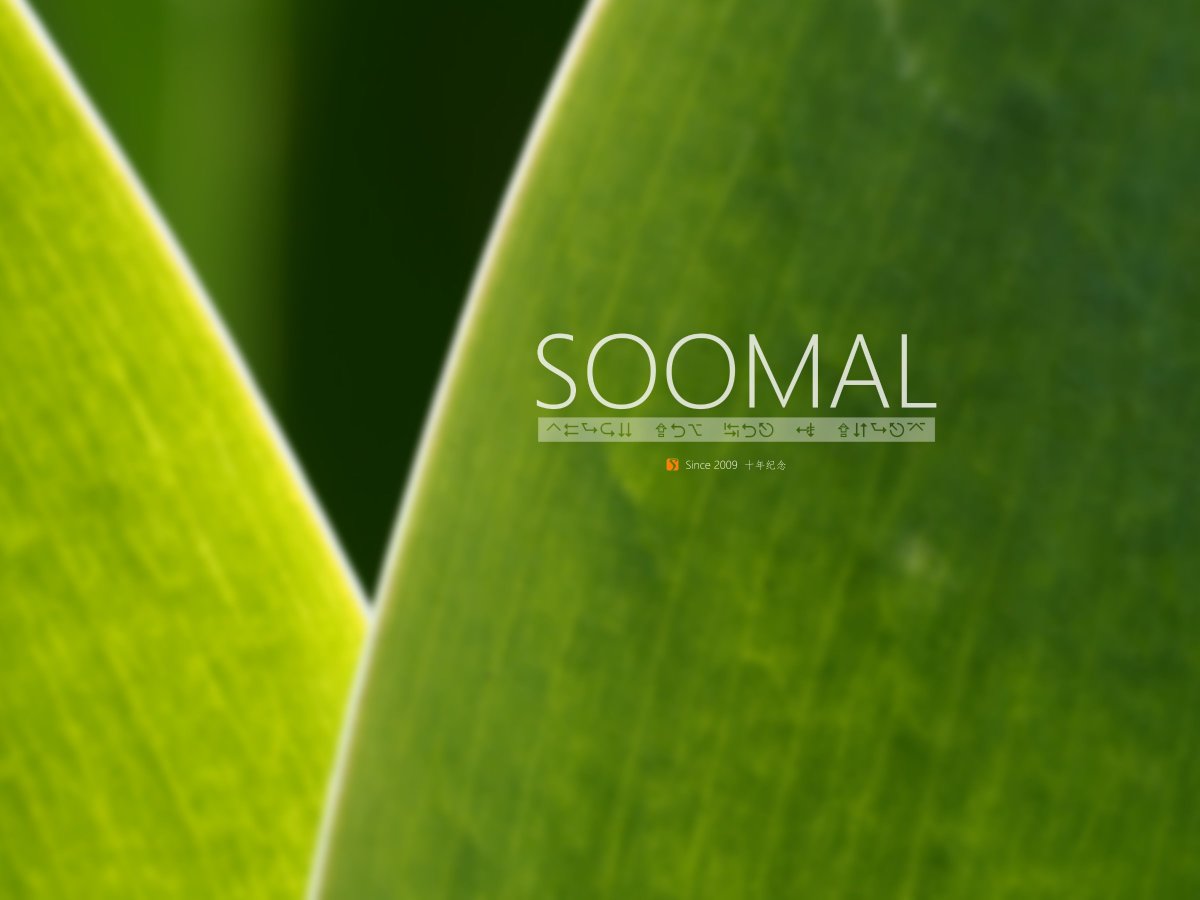 social排行,soomal排行榜