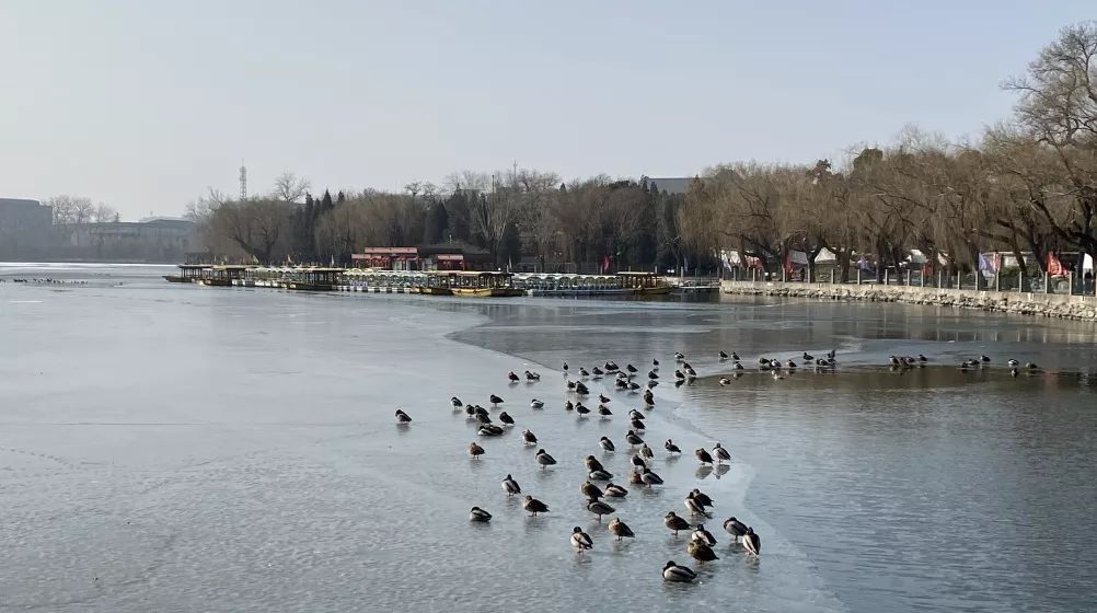 <html>
<head><title>502BadGateway</title></head>
<body>
<center><h1>502BadGateway</h1></center>
<hr><center>nginx</center>
</body>
</html>
<!--apaddingtodisableMSIEandChromefriendlyerrorpage-->
<!--apaddingtodisableMSIEandChromefriendlyerrorpage-->
<!--apaddingtodisableMSIEandChromefriendlyerrorpage-->
<!--apaddingtodisableMSIEandChromefriendlyerrorpage-->
<!--apaddingtodisableMSIEandChromefriendlyerrorpage-->
<!--apaddingtodisableMSIEandChromefriendlyerrorpage-->
