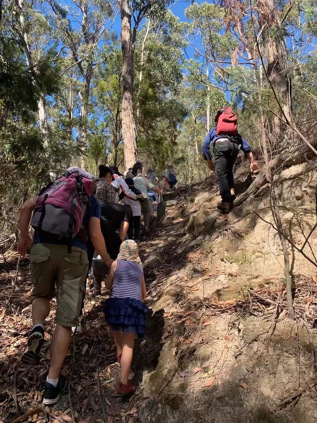 没有作业的澳洲暑假怎么熬？