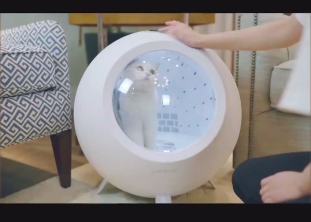 “这一年我卖闲置的钱,比我挣得都多”