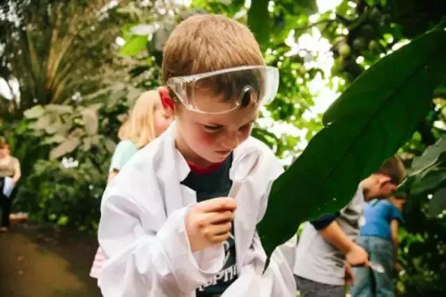 休闲农业和观光农业,休闲观光农业经验