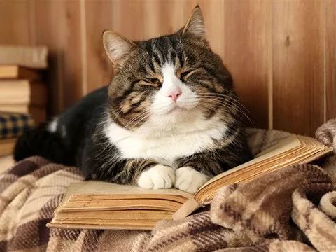 为什么在家里呆久了会闷,家中呆久了闷得慌