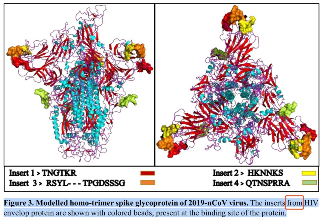 新型冠状病毒属于基因武器吗,新型冠状病毒变异毒株致命吗