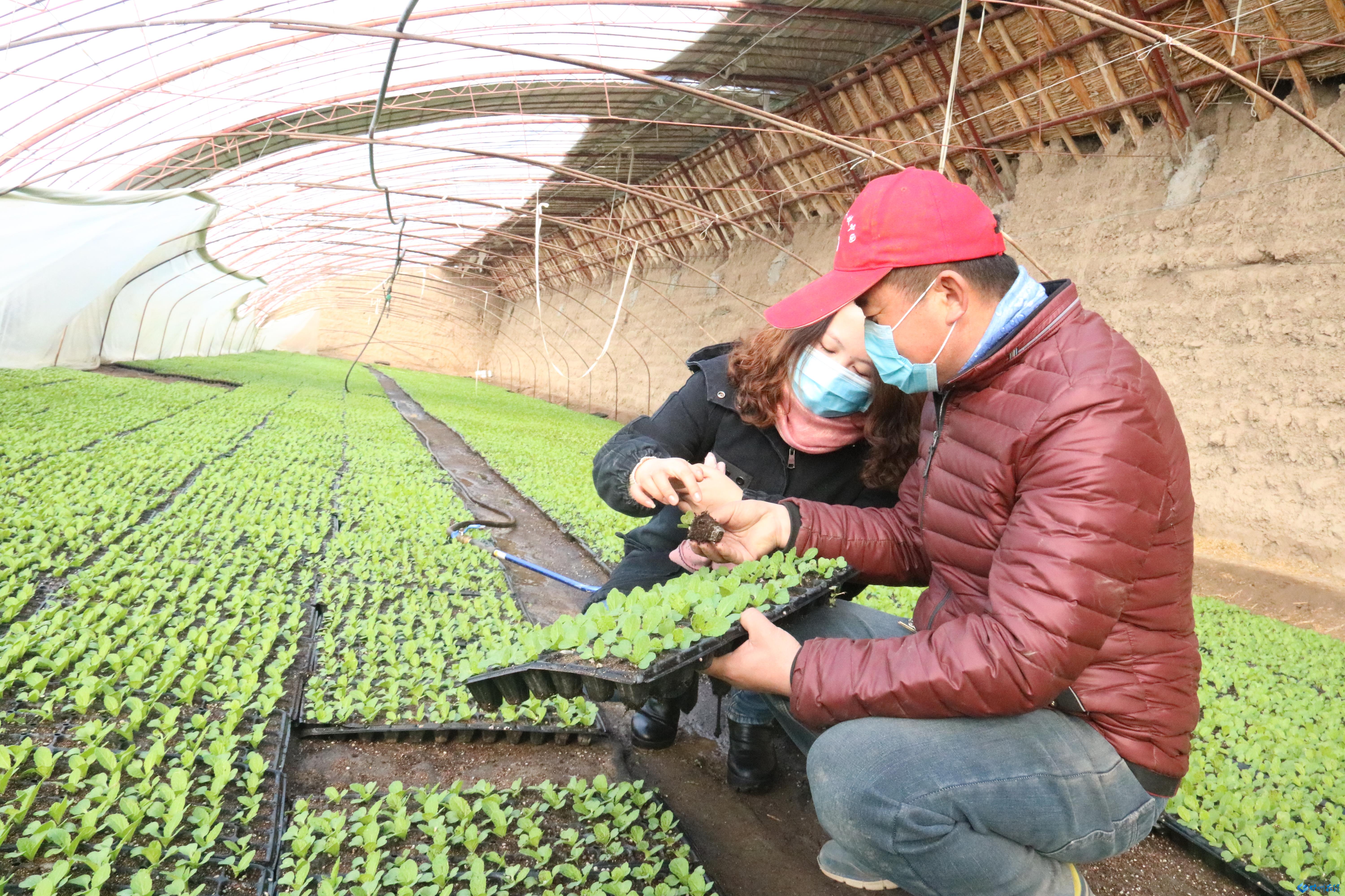 甘州全力以赴跑出复工复产加速度,张掖市复工复产的最新通告