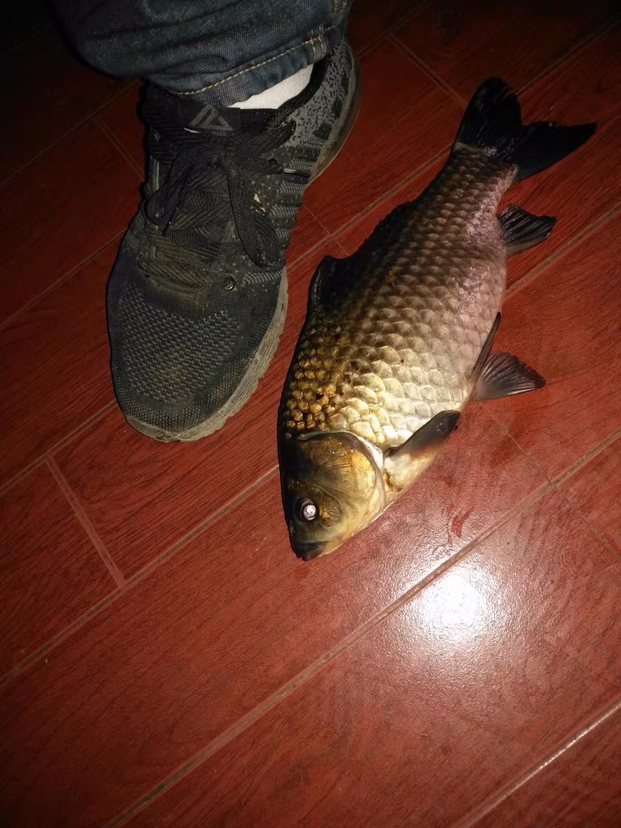 晚春钓鱼秘诀大全,早春钓鱼四字口诀