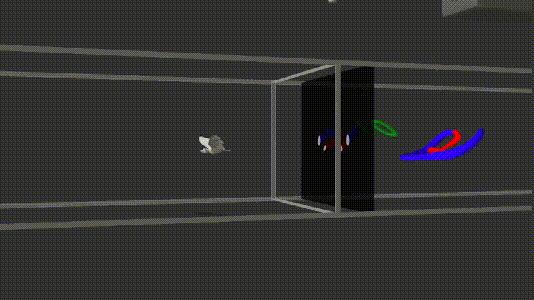 介绍第一视角蝙蝠,认识蝙蝠