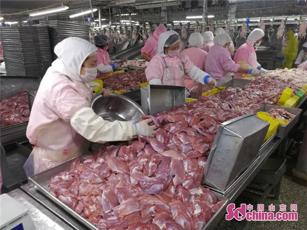 菏泽顶呱呱,顶呱呱企业