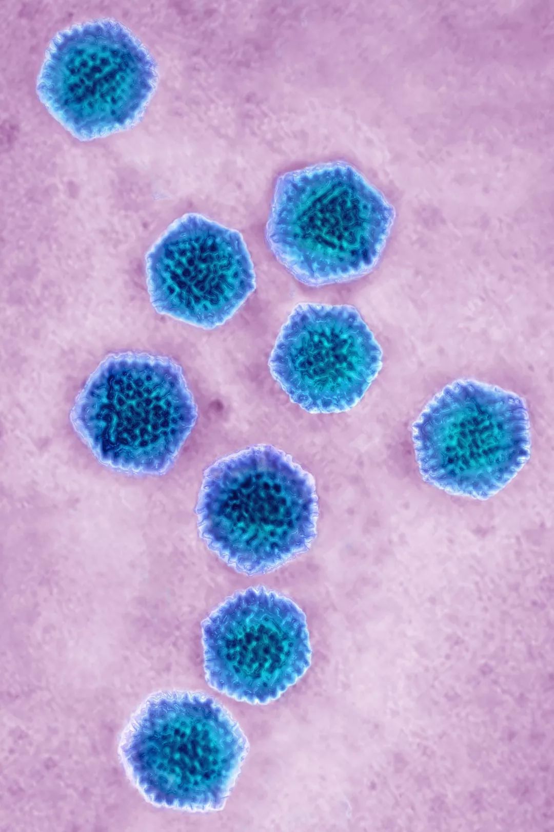 鍋囧鐥呮瘨鎰熸煋浜嗕綘,鍋囧鐥呮瘨鎰熸煋浜嗘垜