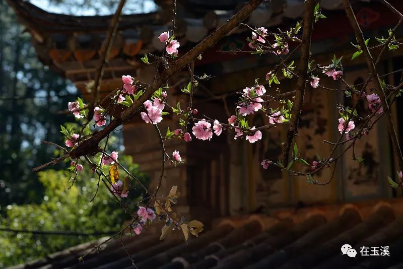 秀山公园门票优惠政策,秀山风景区门票免费吗