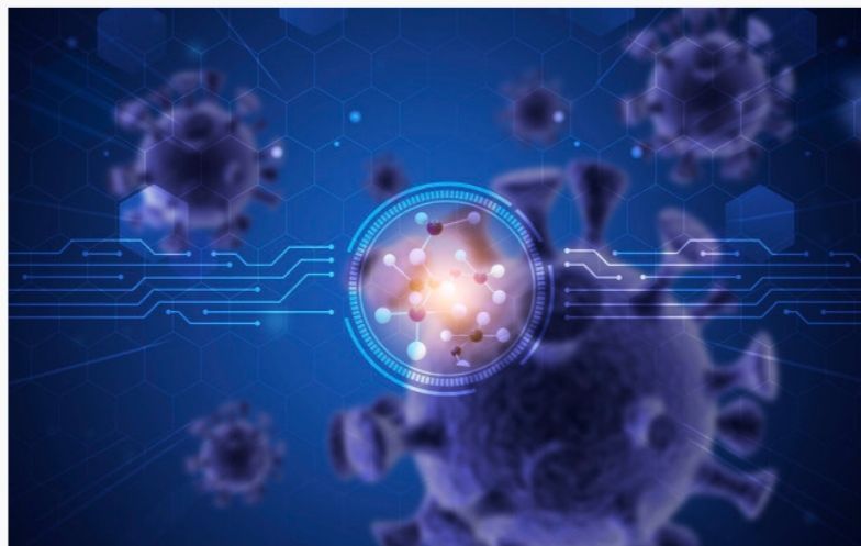 「研究」斯坦福大学和香港大*联学**合发文：甘草酸可能作为COVID-19潜在*制剂抑**