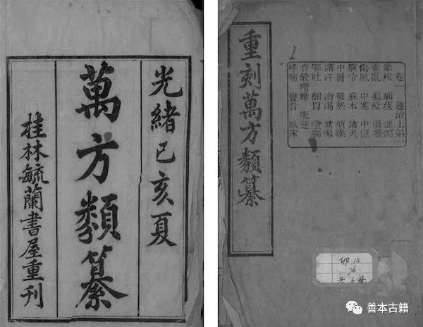 中医治疗瘟疫的药方,历史上治瘟疫的中药名方