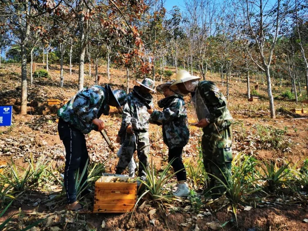 抗疫情促发展｜滇云蜜语：千户蜂农上网课