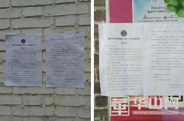 疫情防控乡镇党支部志愿者,抗击疫情村党支部书记