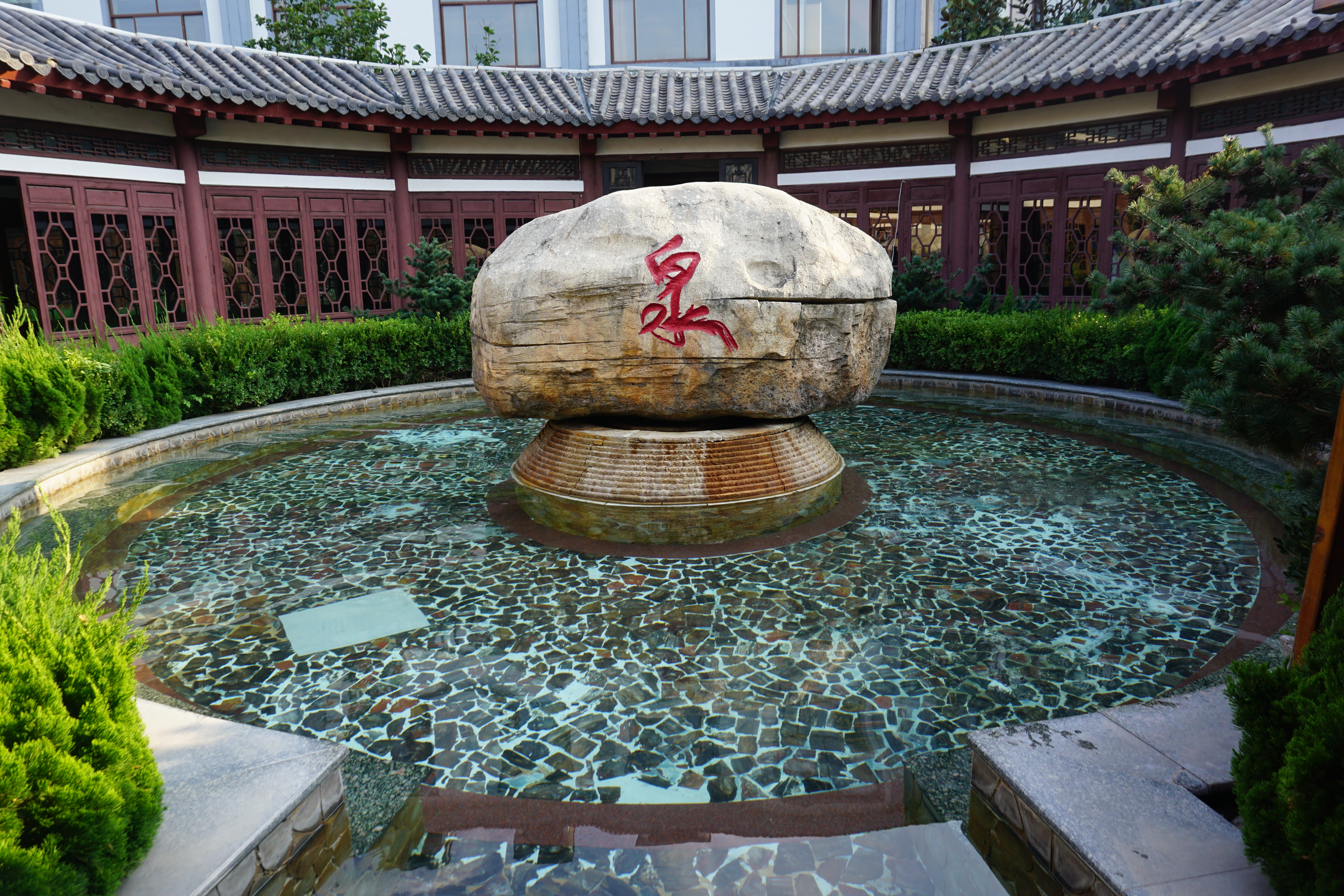 疫情过后一定要去西双版纳,疫情过后一定要来苏州喝奶茶