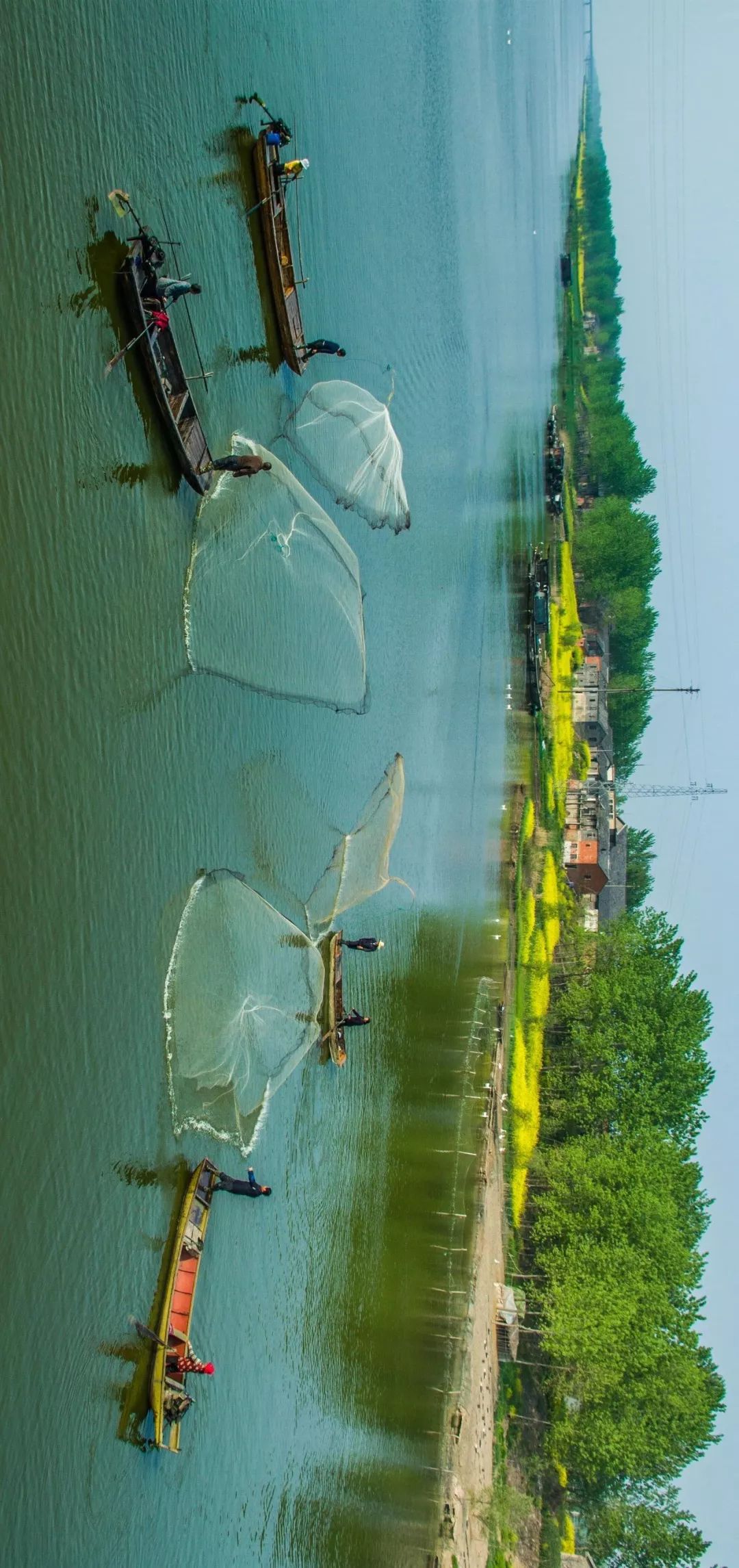 咸鸭蛋高邮为什么好,少盐咸鸭蛋高邮