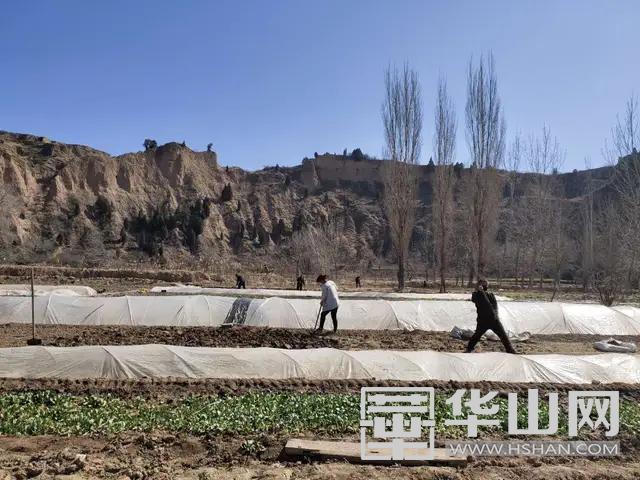 澄城县尧头镇疫情最新通告,澄城县尧头镇疫情防控90后在行动