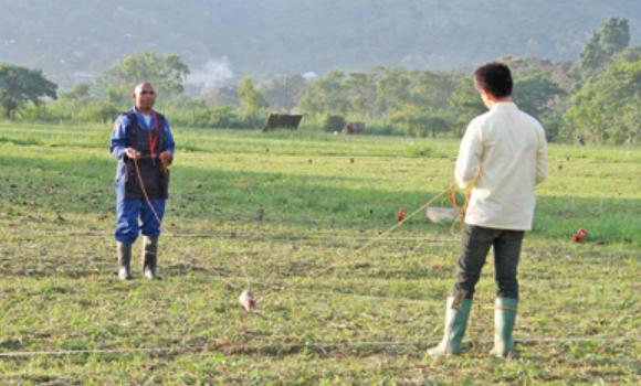 世界上最大老鼠多少钱一只,老鼠有多大一只