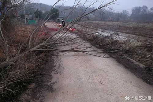 驻村队员防疫日记,战疫日记驰援武汉共赴时艰